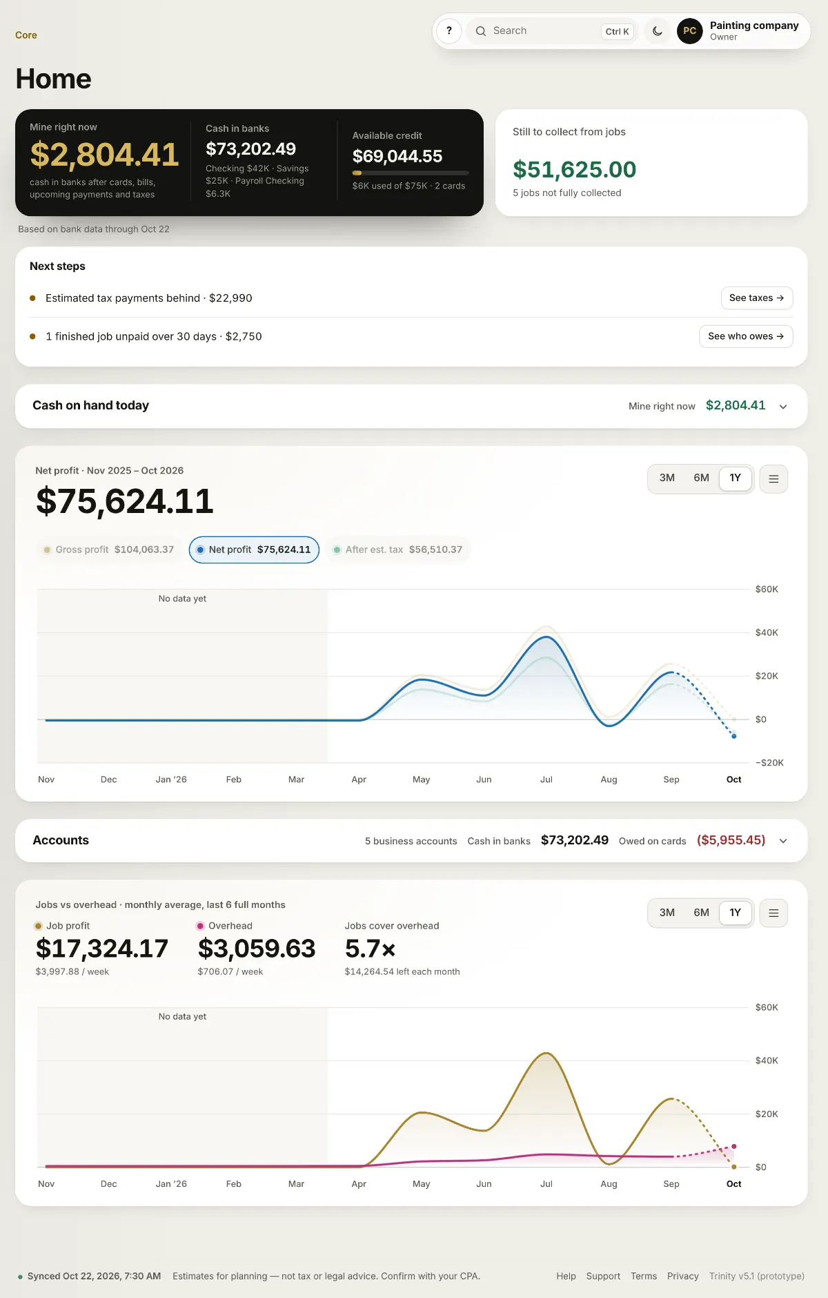 Trinity Home: cash that is yours right now, cash in banks, available credit, money still to collect and next steps. Example data.